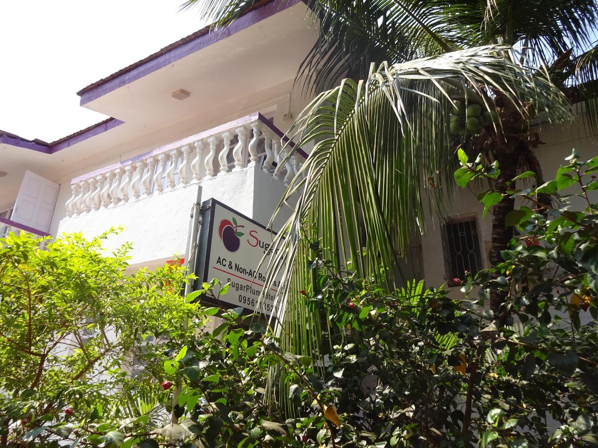 Bed and Breakfast Sugar Plum Macedo Palms Baga Exterior foto