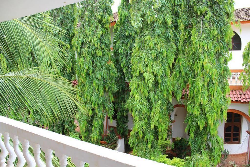 Bed and Breakfast Sugar Plum Macedo Palms Baga Exterior foto